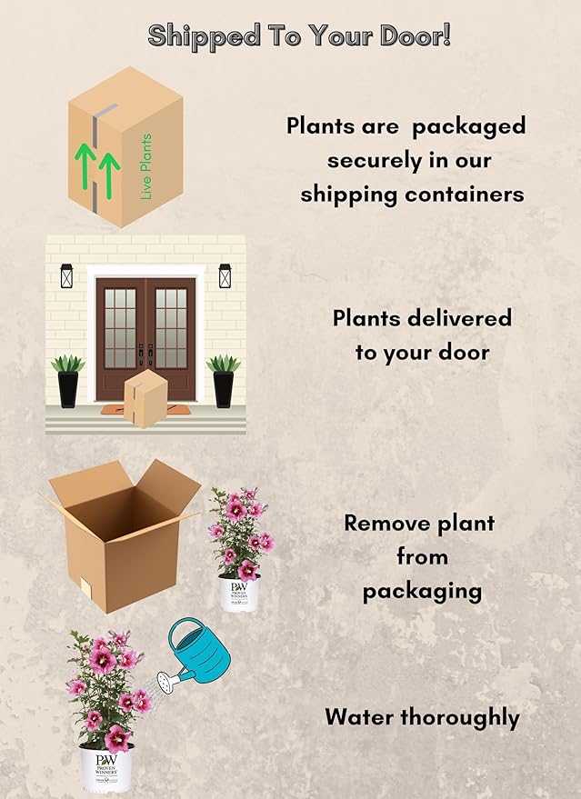 2g Proven Winners Hibiscus Red Pillar