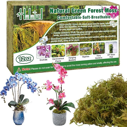 Halatool 0.75LB Green Forest Moss for Plant Indoor- 18QT Natural Orchid Moss Sphagnum for Potting Mix, Real Dry Moss for Repotting Potted Plants Orchids Succulent Carnivorous Cactus Pothos