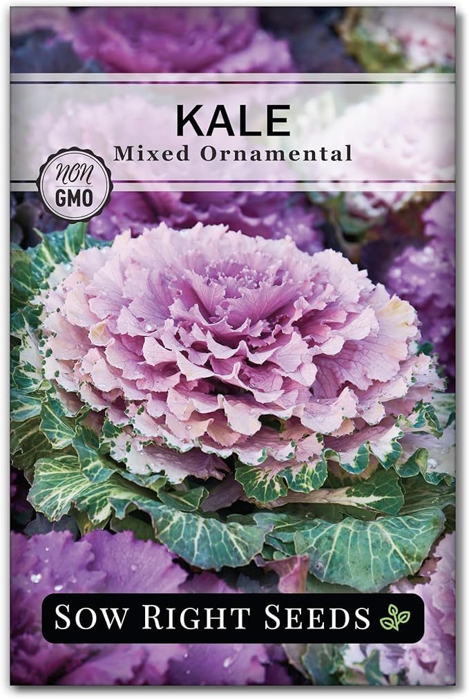 Sow Right Seeds - Frost Hardy Seed Collection for Planting - Pansies, Violets, Snapdragon, Ornamental Kale and Sweet Peas - Lovely Flowers for Spring & Fall Color - Non-GMO Heirloom with Instructions