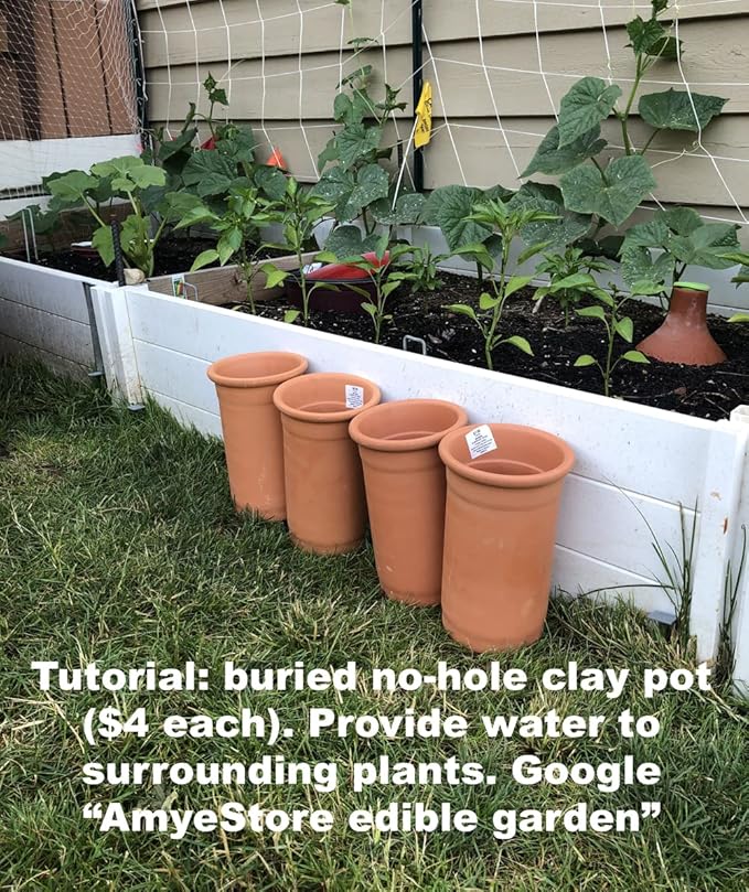 2025 Early Bird-Hot Pepper Seeds for Planting,Non-GMO Heirloom Seeds Vegetable Seeds,Asian Chile Pepper Seeds for Home Vegetable Garden & Hydronic Pods,泰国小米椒(50ct Veggie Seeds-Thai Bird)