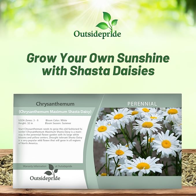 Outsidepride Shasta Daisy Chrysanthemum Seeds - 5000 Pcs. Perennial Deer Proof, Drought Tolerant, Wildflower Seeds for Pollinator Gardens, Cut Flowers & Water-Efficient, Low Maintenance Landscaping