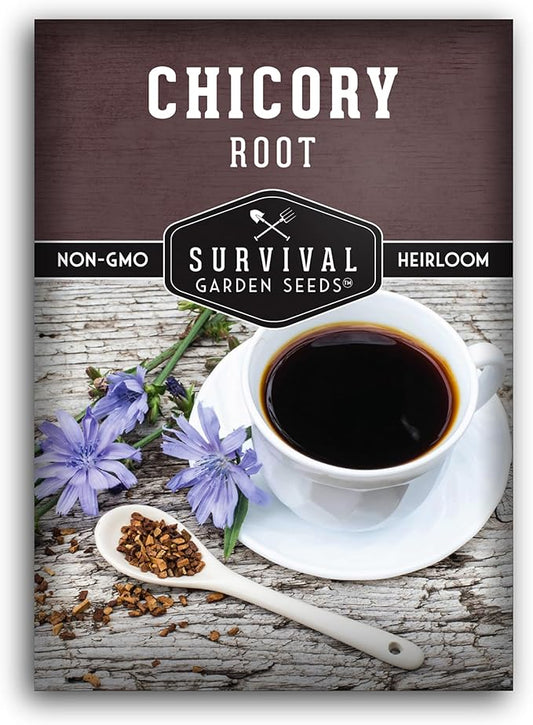 Root Chicory Seed for Planting - 1 Packet with Instructions to Plant and Grow Coffee Chicory in Your Home Vegetable Garden - Non-GMO Heirloom Variety - Survival Garden Seeds