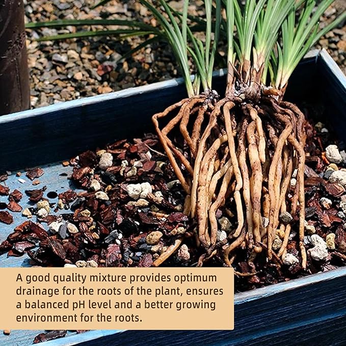 2 Quart Bonsai Soil Mix Lava,Pumice,Pine Bark and Calcined Rock, Natural Organic Mix for Potted Plants…