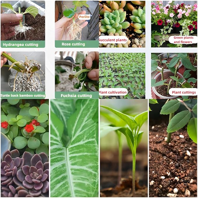 10QT Horticultural Grade Premium Coarse Perlite, All Natural Organic Perlite Soil Additive Conditioner Mix for Healthy Plants Potting Gardening,Promoted Drainage Growth and Improved Soil Health(3-6mm)