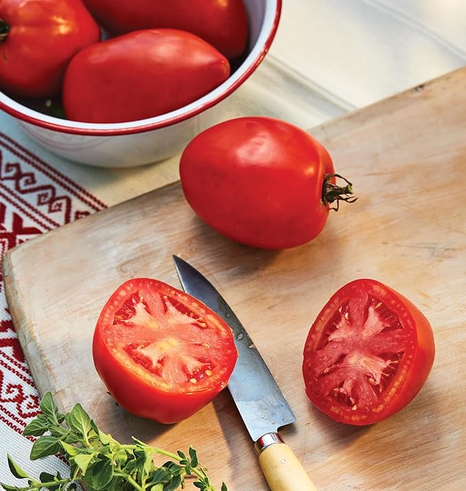 Burpee 'Amish Paste', Tomato Seeds, 25 Non-GMO seeds