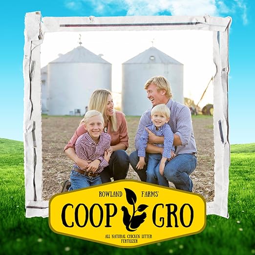 Coop Gro Organic Chicken Manure Fertilizer 6 lb. Bag. All-Natural Plant Food for Vegetable Gardens, Flower Beds, Indoor Plants & Shrubs. Pelleted Fruit Tree Fertilizer (2 Pack)