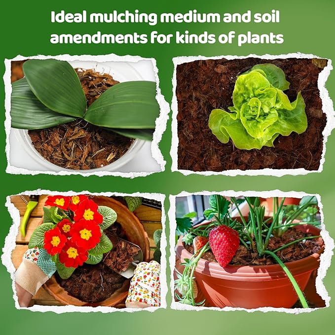 Coco Chips Substrate 1.1 LB, Organic Coconut Husk Brick with Low EC and pH Balanced, Easy to Expand Coco Coir Mulch Medium for Garden Flowers & Reptile Bedding (1 Pcs)