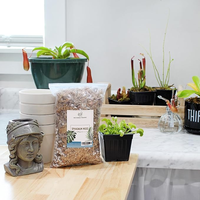 All Natural Sphagnum Moss Potting Mix (2 Quarts), Dried Moss Blend for Carnivorous Plants, Orchids, Top Dressing, and More