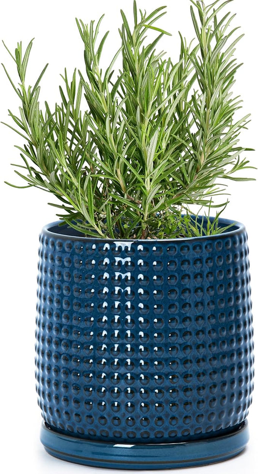 D'vine Dev 6 Inch Ceramic Beaded Stoneware Planter Pot - Flower Pot with Drainage Holes and Saucers for Indoor Succulent Plants or Flowers, Blue, 27-C-X-3