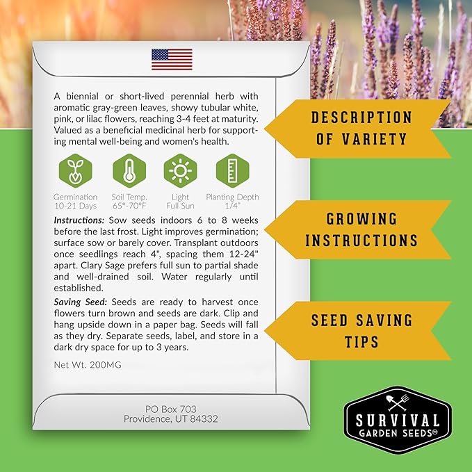 Survival Garden Seeds - Clary Sage Seed for Planting - 5 Packs with Instructions to Plant & Grow Salvia Sclarea Medicinal Herbs in Your Herbal Garden - Non-GMO Heirloom Variety