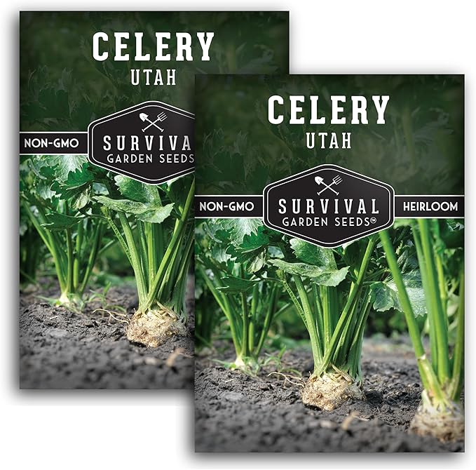 Utah Celery Seed for Planting - 2 Packets with Instructions to Plant & Grow Delicious Celery Plants in Your Home Vegetable Garden - Tender Crisp Non-GMO Heirloom Variety - Survival Garden Seeds
