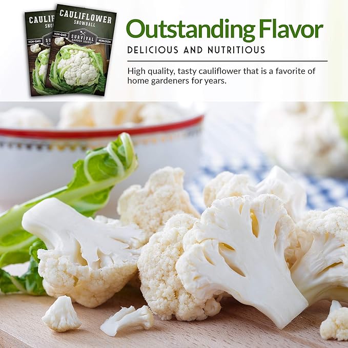Snowball Cauliflower Seed for Planting - Packet with Instructions to Plant & Grow Amazing White Vegetables in Your Home Vegetable Garden - Non-GMO Heirloom Variety - Survival Garden Seeds