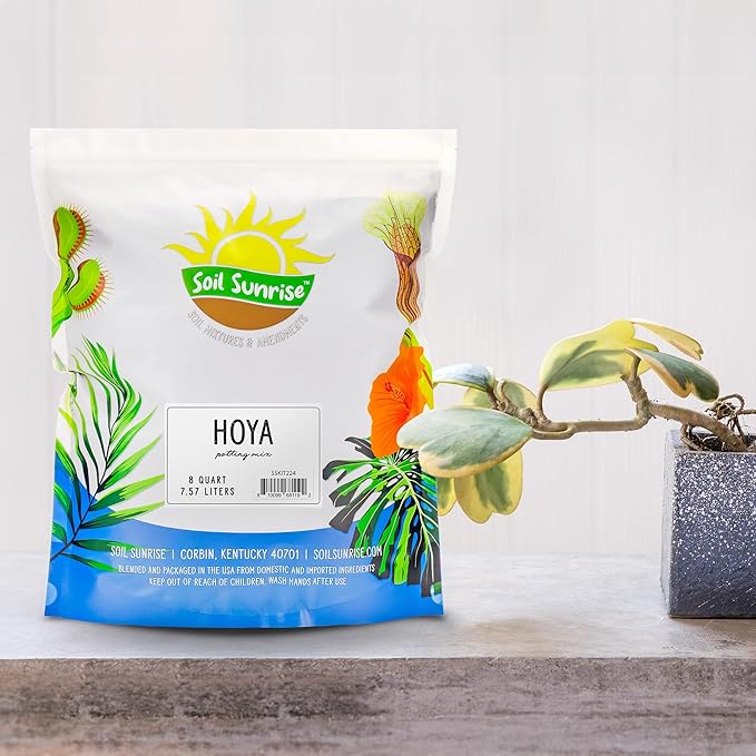 Hoya Plant Potting Soil Mix (8 Quarts), Custom Blend for Growing Hoya Tropical Houseplants