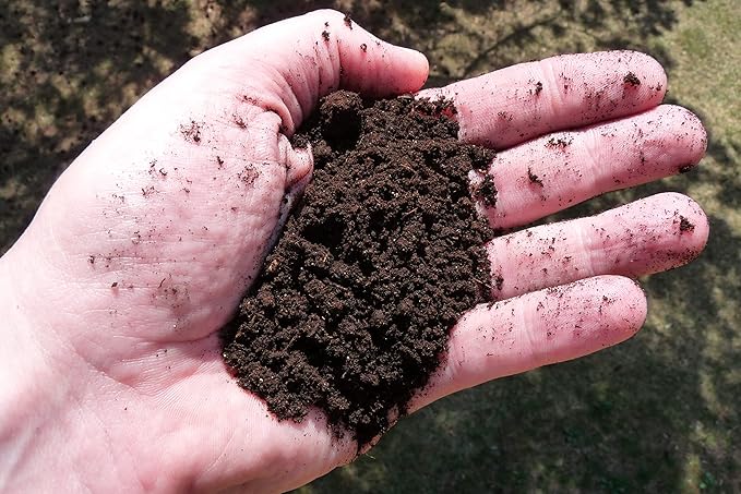 Earth Science – Earthworm Castings – Premium Plant Fertilizer for Indoor & Outdoor Plants – Soil Enhancer for Vegetable Gardens 3lb