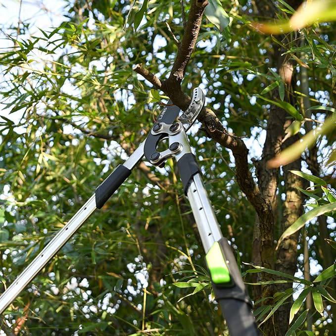 LAND Extendable Anvil Loppers Tree Trimmer with Compound Action, 29-34 Inch Telescopic, Long Handled Heavy Duty Branch Cutter, Chops Thick Branches with Ease.