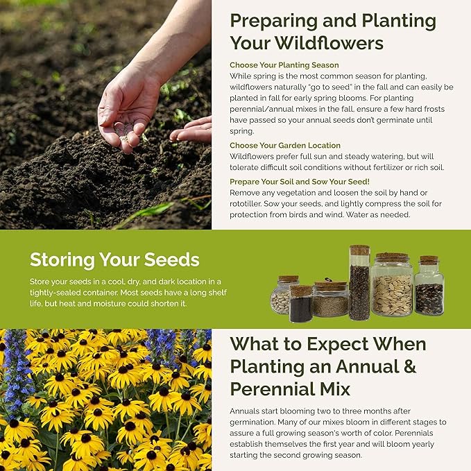 Eden Brothers Late Bloomer Wildflower Mixed Seeds for Planting, 1 lb, 480,000+ Seeds with White Yarrow, Snapdragon | Attracts Pollinators, Plant in Spring or Fall, Zones 3, 4, 5, 6, 7, 8, 9, 10