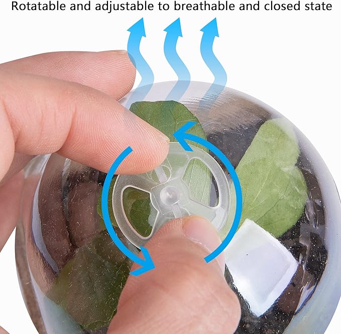 EBaokuup 20pcs Biodegradable Pots with Humidity Dome,2.3" Plant Nursery Pots with Humidity Dome,Seed Starter Pots Biodegradable Peat Pots for Seedlings,Vegetables