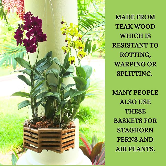 3 Wooden Octagon Shaped Orchid Baskets with Hangers. Rustic Handmade Vanda Baskets, Hanging Boxes