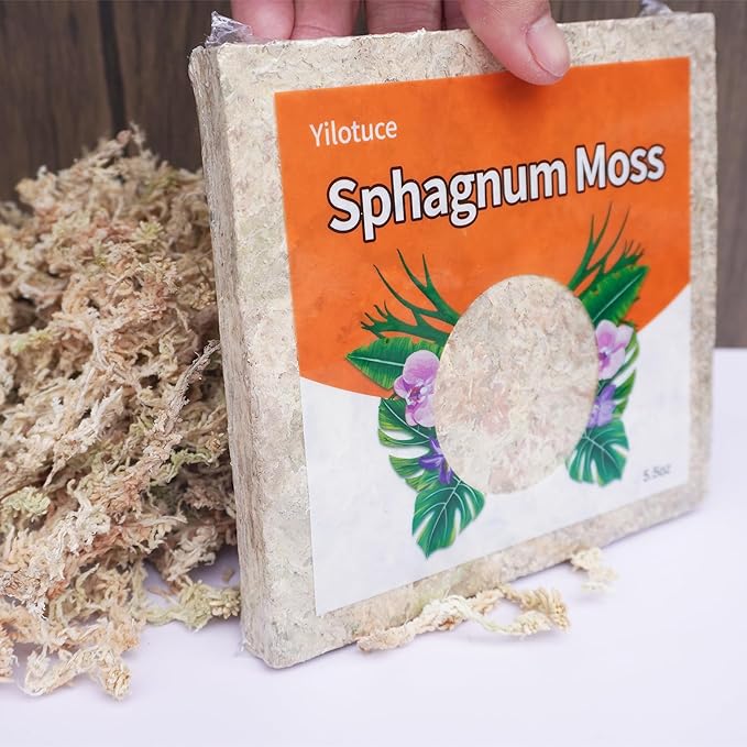 5.5oz Sphagnum Moss for Plants, Premium Compressed Sphagnum Moss for Orchids