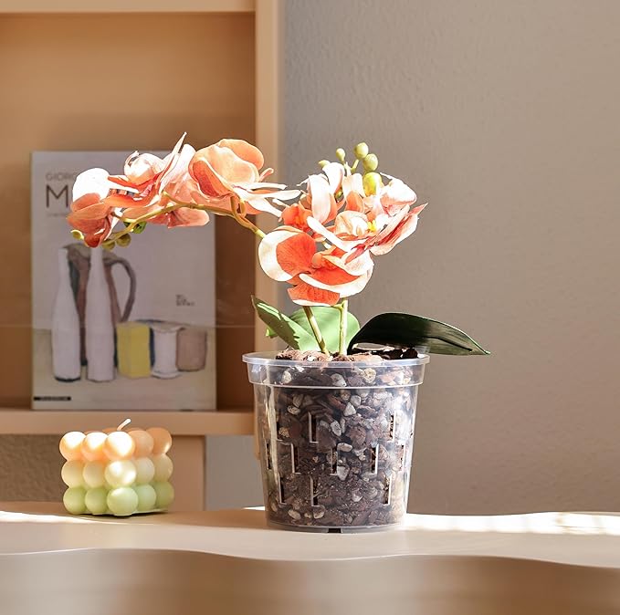 TRUEDAYS Orchid Pot - 6 Pack 4 Inch Clear Plastic Orchid Plant Pots with Drainage Holes for Indoor Outdoor Live Plants for Repotting