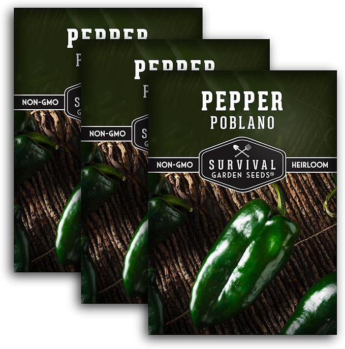 Poblano Pepper Seed for Planting - 3 Packets with Instructions to Plant and Grow Ancho Chiles in Your Home Vegetable Garden - Non-GMO Heirloom Variety - Survival Garden Seeds