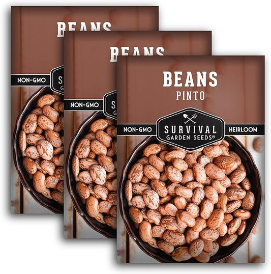 Pinto Bean Seeds for Planting - 3 Packets with Instructions for Growing Mottled/Peruano Beans in The Home Vegetable Garden - Non-GMO Open-Pollinated Heirloom & Untreated - Survival Garden Seeds