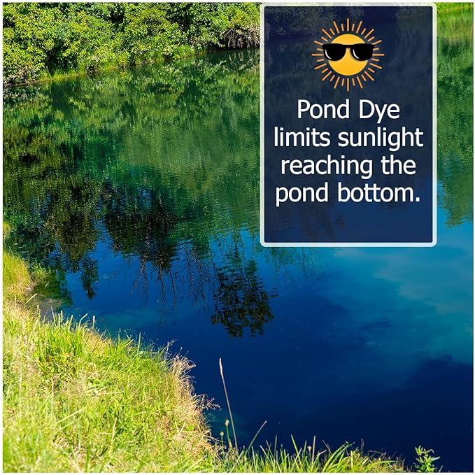 Vivid Blue Pond Dye Packets - 6 Water Soluble Packs of Lake Dye Treatment