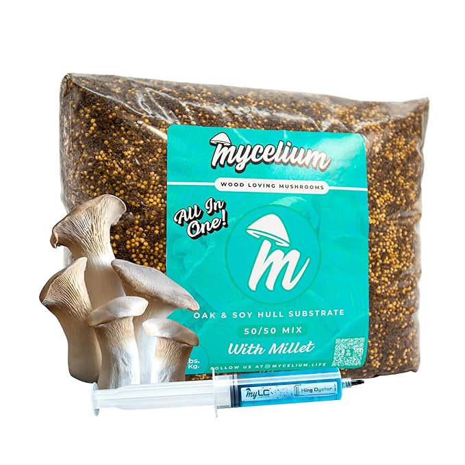 Mycelium’s King Oyster Gourmet Mushroom Kit | 8LBS Oak & Soy Hull with Millet Blend | 20ML Liquid Culture Syringe | All-in-One Complete Cultivation Kit | Pre-Sterilized - Home Growing Made Easy