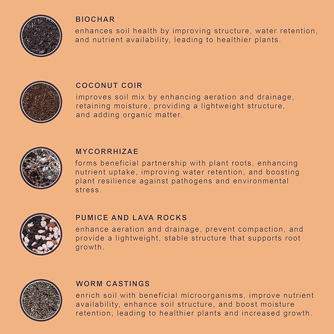 Premium Organic Cactus & Succulent Potting Soil Mix - Well Draining Blend with Biochar, Mycorrhizae & Worm Castings for Healthy Growth! 4 quarts