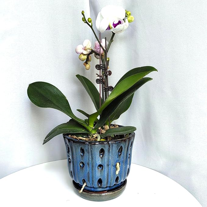 6 inch Round Ceramic Orchid Pot with Holes Orchid Planter (Dark Blue)