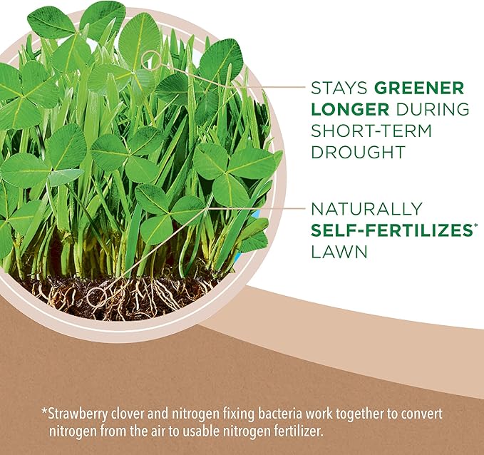 Scotts Turf Builder Clover Lawn, Greener Lawn with Less Maintenance, 2 lbs.