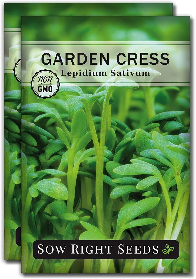 Sow Right Seeds - Garden Cress Seeds for Planting - Non-GMO Heirloom Packet with Instructions to Plant and Grow a Kitchen Herb Garden - Indoors or Outdoors - Edible Leaves and Cute Filler (2)