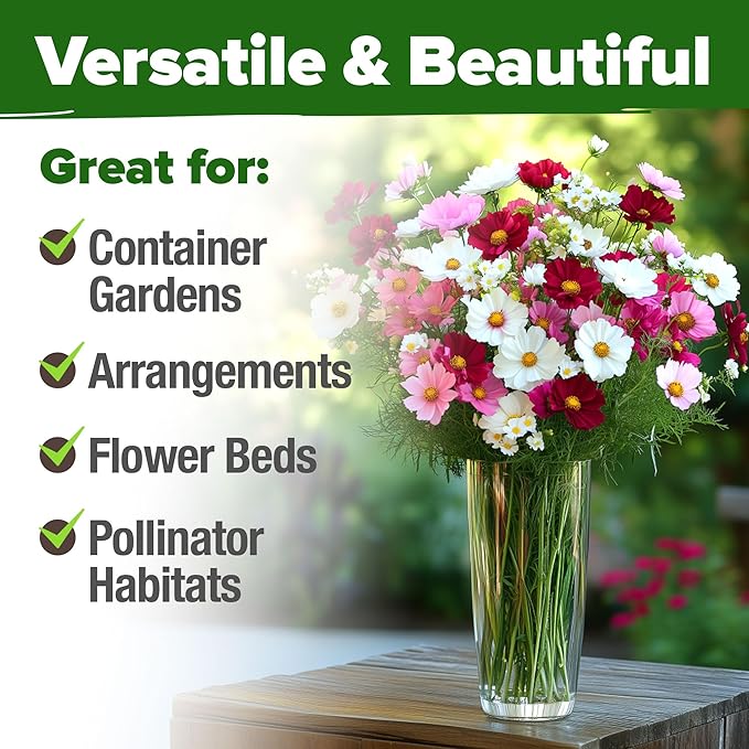 HOME GROWN Cosmos Seeds Bulk Pack (1.8 oz) Annual Flower Seeds for Planting - Heirloom Pollinator Friendly Wildflower Seeds - Grow Cosmo Plant Garden