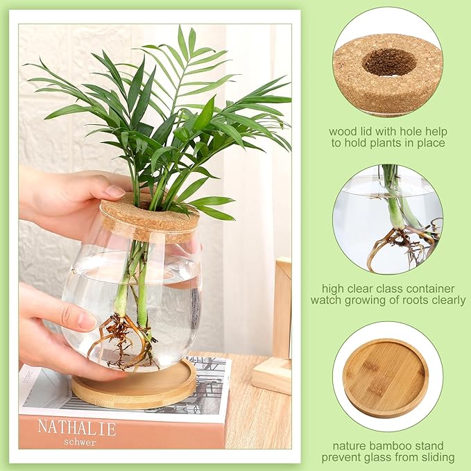 Layhit 4 Pcs Plants Propagation Stations Separated Desktop Plant Terrarium Glass Planter Vase with Wooden Lid and Bamboo Stand for Growing Hydroponic Home Office Tabletop Decoration (Cute Style)