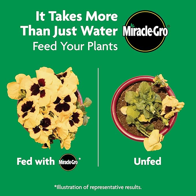 Miracle-Gro Shake 'n Feed Rose and Bloom Plant Food - Promotes More Blooms and Spectacular Colors (vs. Unfed Plants), Feeds Roses and Flowering Plants for up to 3 Months, 1 lb.
