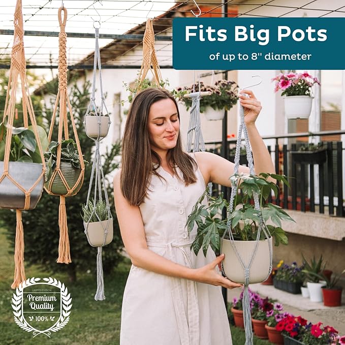 Nook Theory 6-Pack Macrame Plant Hanger - 12 Ceiling Hooks - Plant Hanger Indoor - Hanging Plant Holder - Hanging Planters for Indoor Plants - Boho Plant Hanger - Plant Hangers Indoor (Cream)