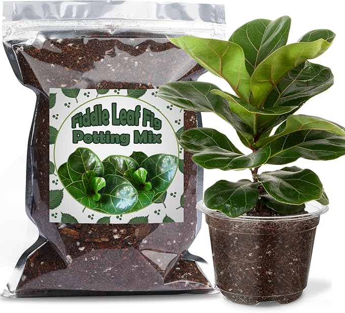 Organic Fiddle Leaf Fig Potting Mix 10qt, Indoor Plants Potting Mix for All Potted Ficus Lyrata Plant, Grow Healthy houseplants Indoors