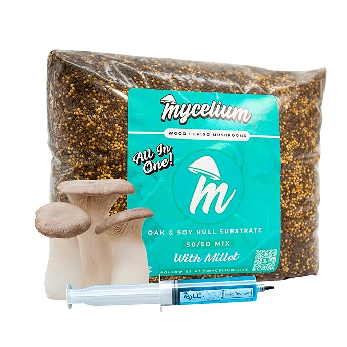 Mycelium’s King Trumpet Gourmet Mushroom Kit | 5LBS Oak & Soy Hull with Millet Blend | 20ML Liquid Culture Syringe | All-in-One Complete Cultivation Kit | Pre-Sterilized - Home Growing Made Easy