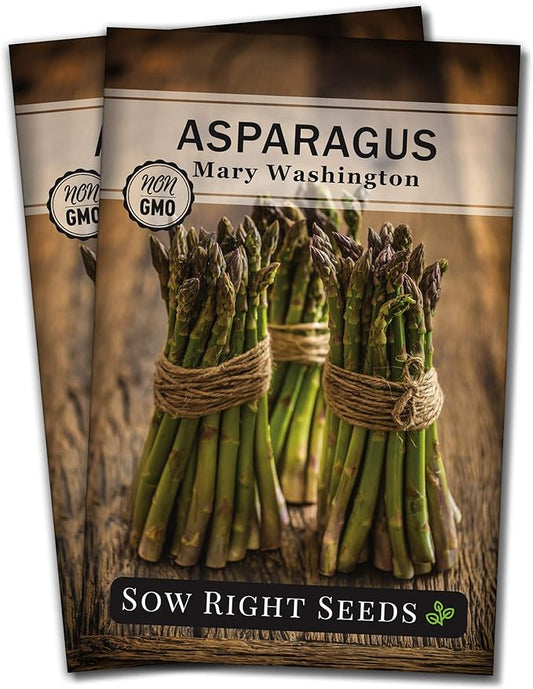 Sow Right Seeds - Mary Washington Asparagus Seed for Planting - Non-GMO Heirloom Packet with Instructions to Plant an Outdoor Home Vegetable Garden - Classic Perennial Stalks with Hearty Flavor (2)