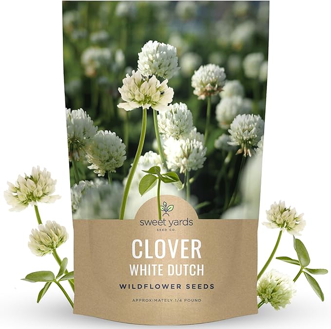 White Dutch Clover - Bulk 1/4 Pound Pouch - 150,000 Flower Seeds for Planting - Trifolium repens