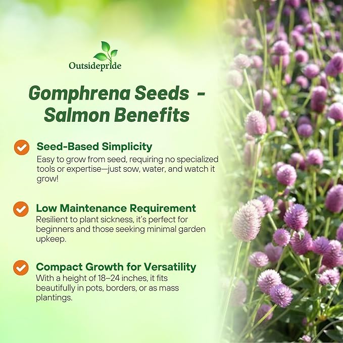 Outsidepride 2000 Seeds Annual Salmon Gomphrena Globosa Flower Seed for Planting