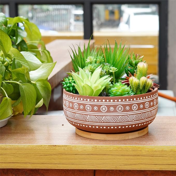 8 Inch Terracotta Succulent Planter Pot with Drainage Hole and Bamboo Tray, Round Shallow Bonsai Pot for Indoor Plants