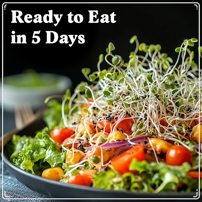 Organic Sprouting Seeds - Salad Blend Variety- Non-GMO, USA Grown Microgreens Mix - Alfalfa, Broccoli, Radish, Mung Bean, Lentil - Makes 8 Quarts of Sprouts, 24 Servings (8 oz) (Salad Blend)