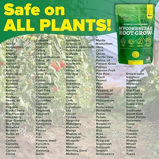 Mycorrhizal Fungi Root Grow All Natural Mycorrhizae for Plants Myco Ultra Soil Real Growers Plant Success Root Enhancer for Plants Microbes for Soil Mycorrhizal Inoculant Root Powder for Plants Soil