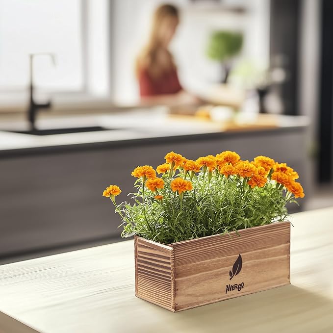 Marigold Seeds Flower Growing Kit – Complete Indoor & Outdoor Kit with Marigold Seeds, Planter, Soil, Tools, Instructions – Ideal for Planting Marigold Flowers at Home or Garden