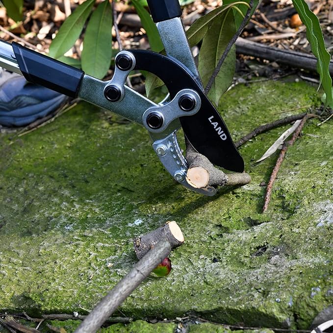 LAND Extendable Anvil Loppers Tree Trimmer with Compound Action, 29-34 Inch Telescopic, Long Handled Heavy Duty Branch Cutter, Chops Thick Branches with Ease.