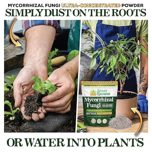 Mycorrhizal Fungi Organic Root Enhancer for Plants, Super Potent 100 Spores Per Gram, 5-Strain Blend, Rapid Results for Gardens, Houseplants, Lawns, Smart Grower 250 Grams (2 Pack of 125G)