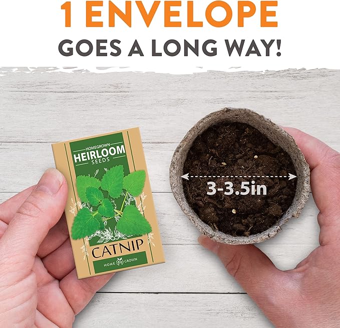 HOME GROWN 3200+ Cat Grass Seeds - Catnip Seeds, Alfalfa Seeds, Oat Seeds, and Oat & Barley Mix - Grow Cat Grass for Indoor Cats - Cat Grass Seeds Bulk - Refill Cat Growing Grass Kit