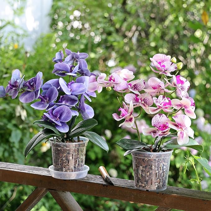 TRUEDAYS 4 Pack Orchid Pot with Saucers Garden Pot 5 Inch Clear Plastic Plant Pots with Drainage Holes for Indoor Outdoor Plants