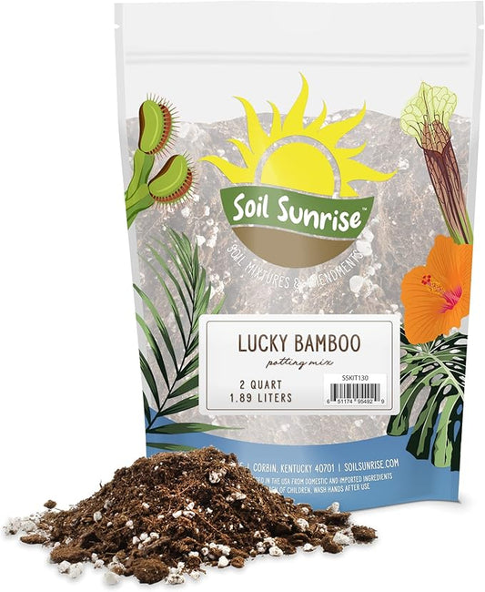 Lucky Bamboo Plant Potting Mix (2 Quarts), Custom Soil Mix for Repotting